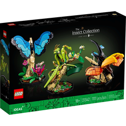 LEGO Ideas 21342 Sbírka hmyzu
