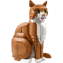 blted58edc393988117-21376_Prod